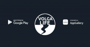 тестовый товар