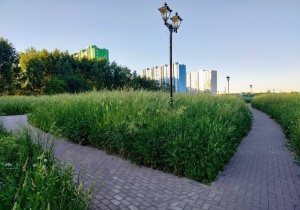 Набережная Волга Лайф в Твери