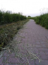 Набережная Волга Лайф в Твери