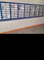 Слабоумие и отвага