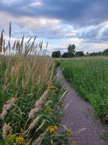 Не берегут, не охраняют