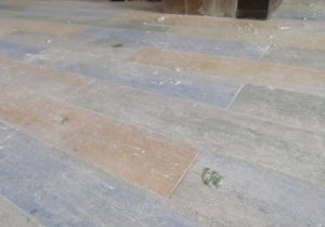 Напоминаем о штрафе за мусор в подъезде