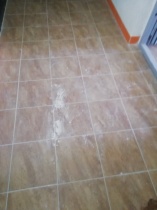 Напоминаем о штрафе за мусор в подъезде