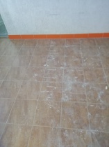 Напоминаем о штрафе за мусор в подъезде