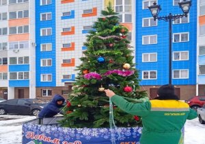 В Волга Лайф установили новогоднюю елку