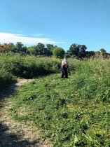 В Волга Лайф скосили траву на берегу реки Волга