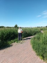 В Волга Лайф скосили траву на берегу реки Волга