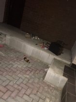 Разбили дверь в 53 доме жилого комплекса Волга Лайф